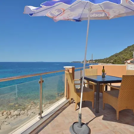 Riva1 And プリズバ